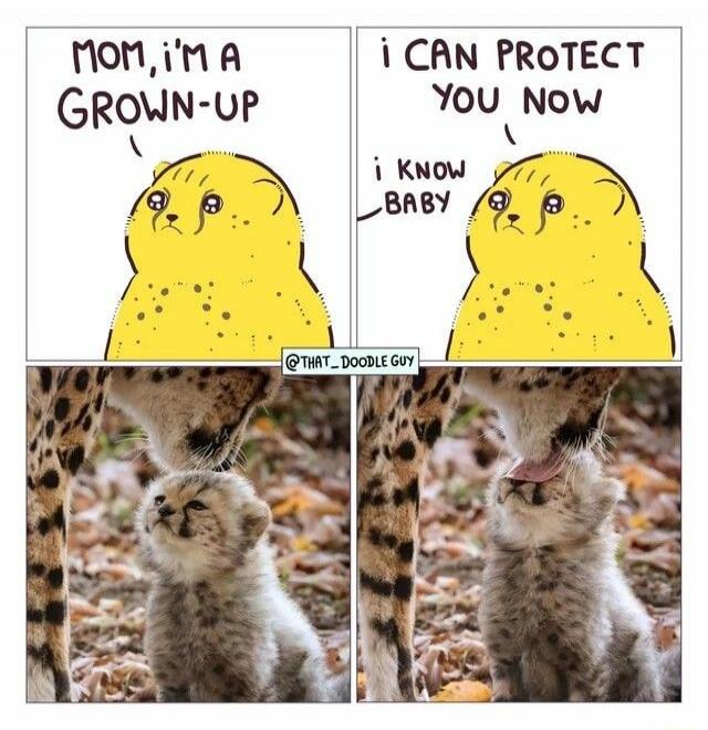 MOM, I'M A GROWN-UP I CAN PROTECT YOU NOW I KNOW BABY