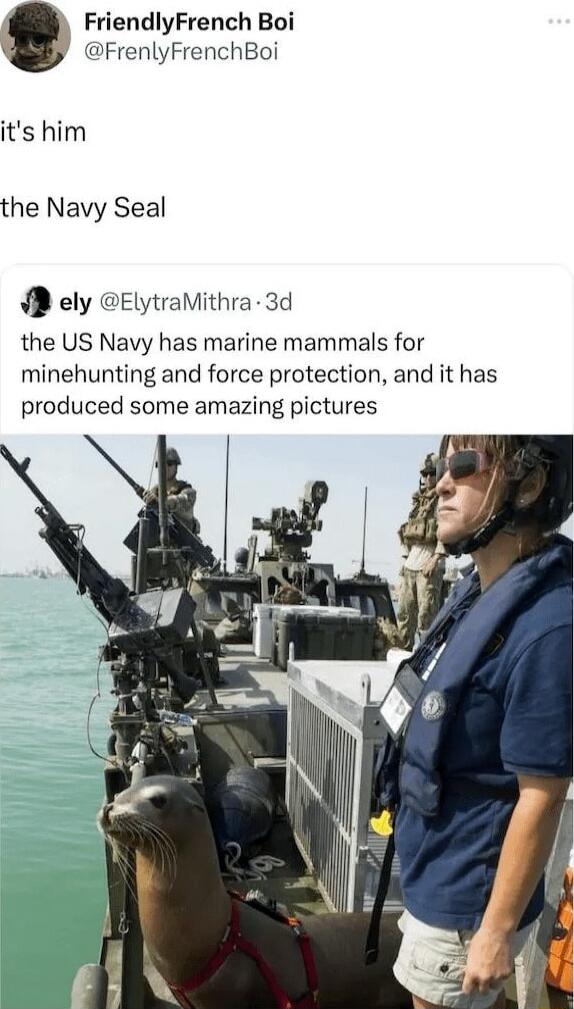 FriendlyFrench Boi FrenlyFrenchBoi its him the Navy Seal y ely ElytraMithra 3d the US Navy has marine mammals for minehunting and force protection and it has produced some amazing pictures