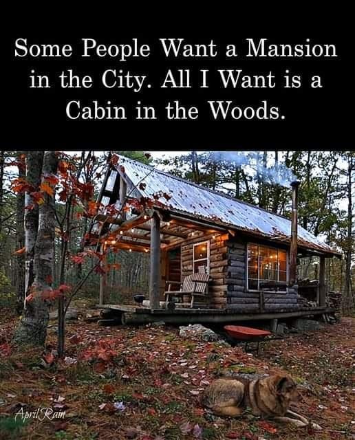 Some People Want a Mansion in the City All I Want is a Cabin in the Woods