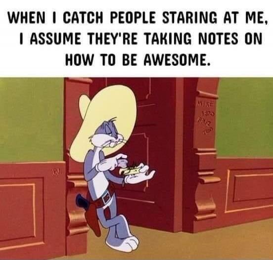 WHEN I CATCH PEOPLE STARING AT ME, I ASSUME THEY'RE TAKING NOTES ON HOW TO BE AWESOME.