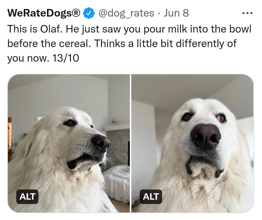 WeRateDogs dog rates Jun 8 This is Olaf He just saw you pour milk into the bow before the cereal Thinks a little bit differently of you now 1310