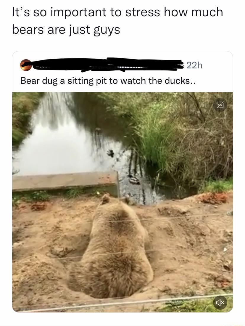 Its so important to stress how much bears are just guys P Bear dug a sitting pit to watch the ducks