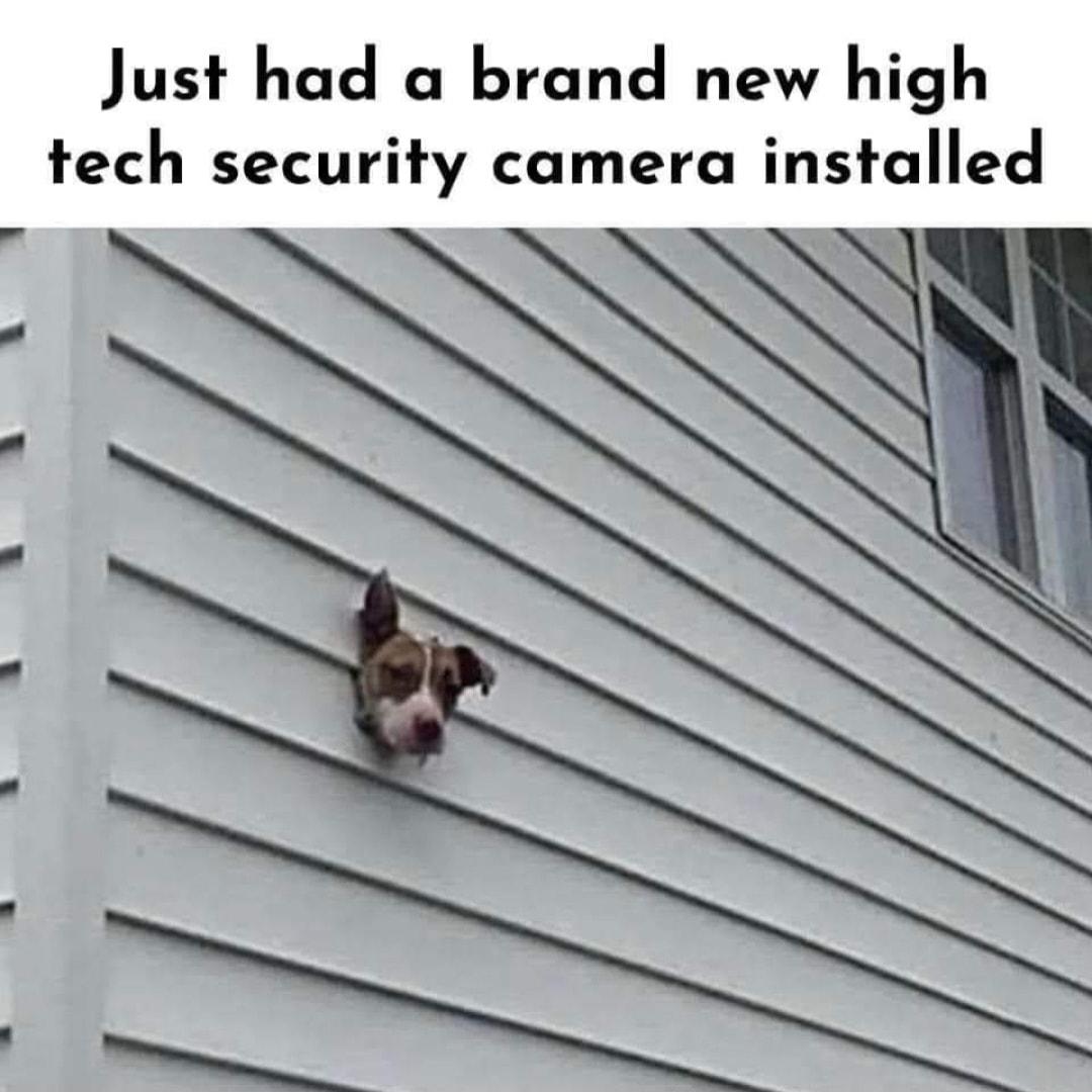 Just had a brand new high tech security camera installed