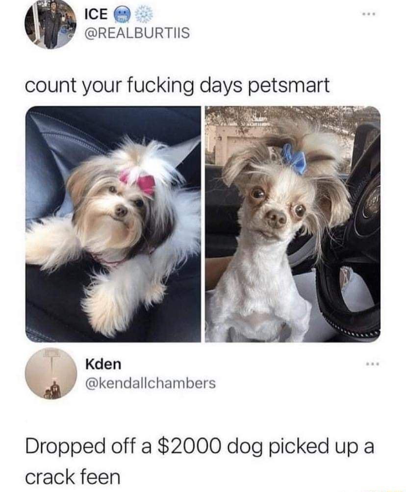 ICE JJ REALBURTIIS count your fucking days petsmart S Kden kendallchambers Dropped off a 2000 dog picked up a crack feen