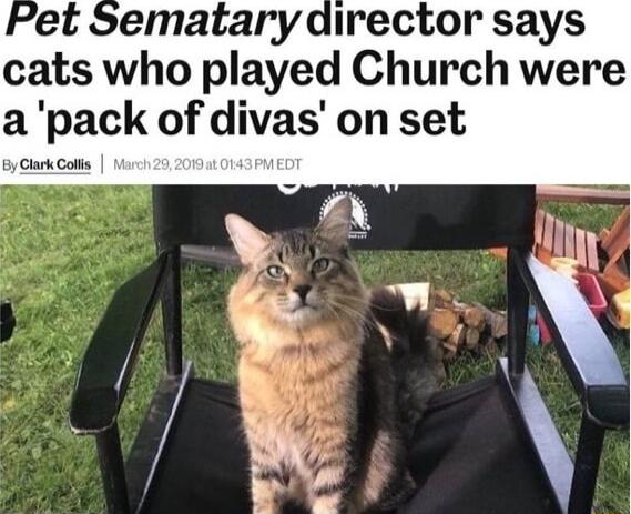 ydirector says cats who played Church were apack of divas on set e Col