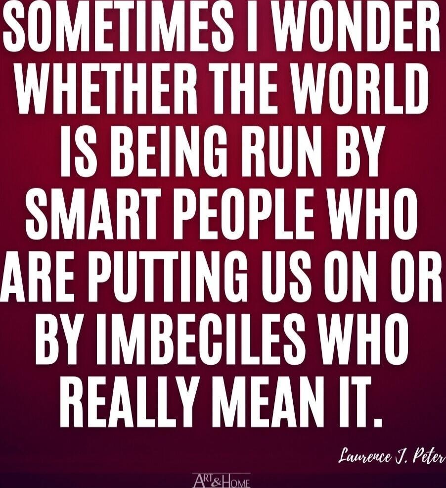 SOMETIMES I WONDER WHETHER THE WORLD IS BEING RUN BY SMART PEOPLE WHO ARE PUTTING US ON OR BY IMBECILES WHO REALLY MEAN IT.