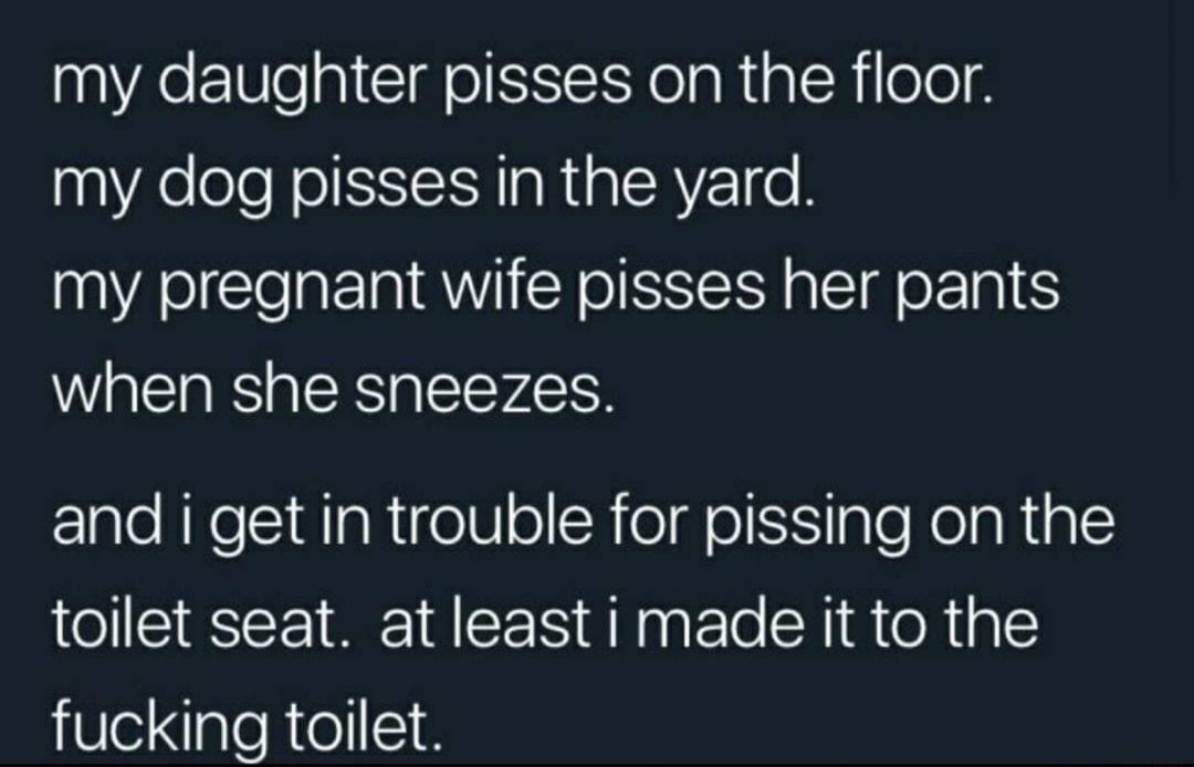 my daughter pisses on the floor my dog pisses in the yard my pregnant wife pisses her pants when she sneezes and i get in trouble for pissing on the toilet seat at least i made it to the fucking tollet