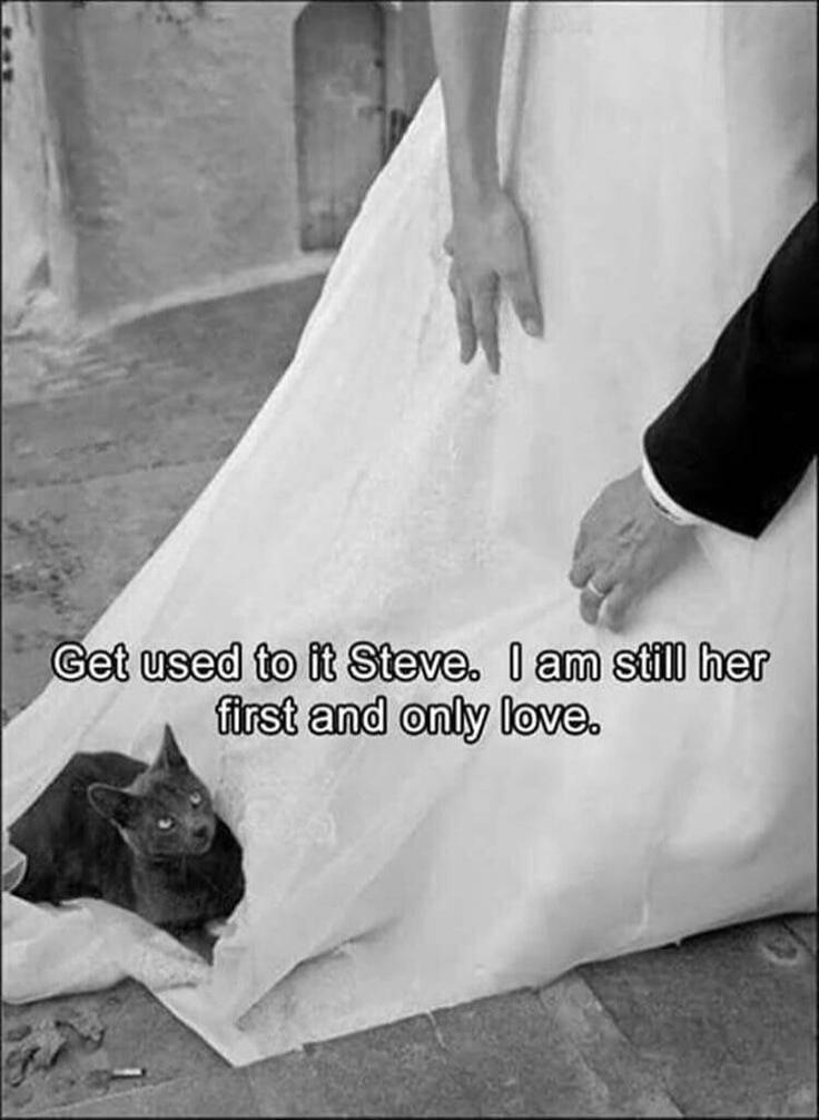Get used to it Steve. I am still her first and only love.