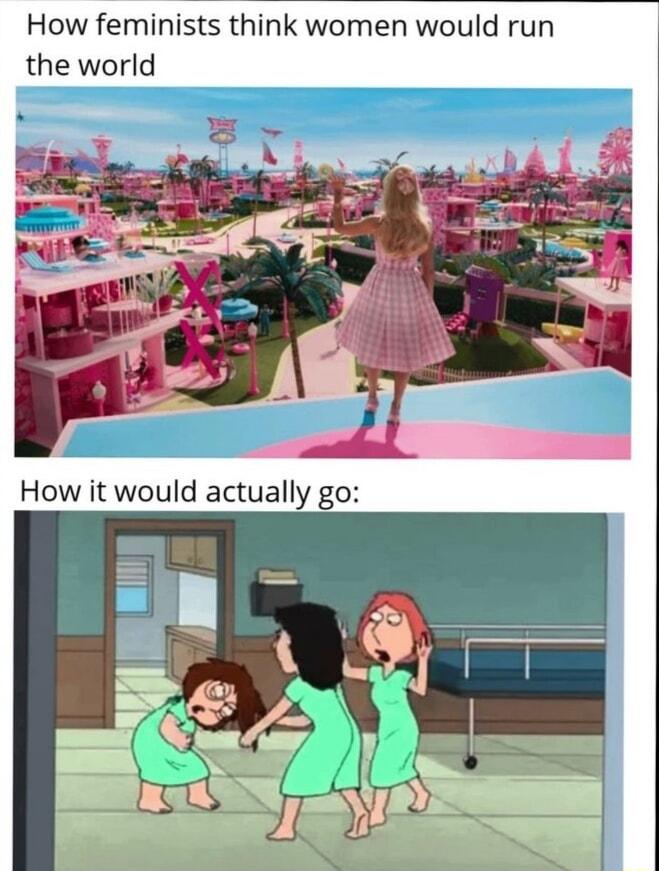 How feminists think women would run the world How it would actually go