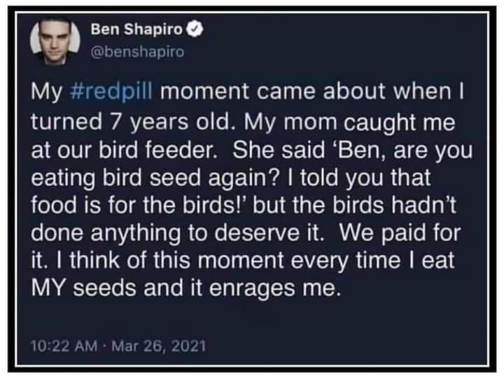 a EGES ETTEY My redpill moment came about when L0 gaTTo RVARVIET oWl o BV AVA g TeTq g RoP 10T 1 0 1 1TV gl o o B TTo ST MRS TNCT 116 I TT W T R o1V EVilalofell e STT To To 1 g WAl o o RYe TUR g F14 jolelo NERo gl N ol e Mo TV I R alN ol e EN F Te ok fooaT3 Ta gl I gl oW CEITAV NI MW e 1o R og it think of this moment every time eat MY seeds and it enrages me Mar 26 202