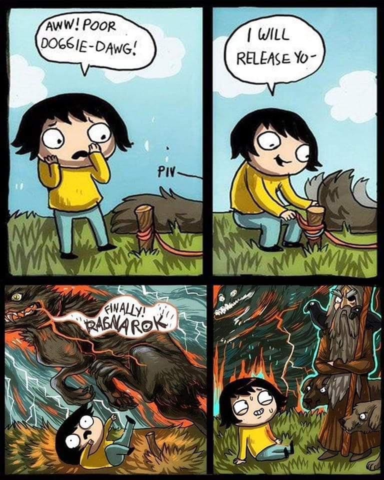 AWW PooR DOGEIE DAwe