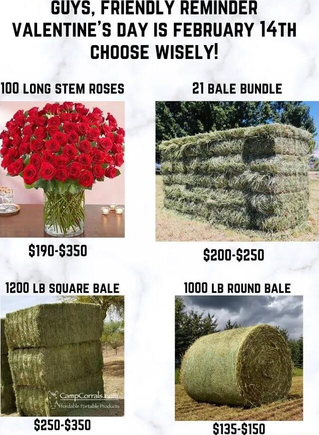 GUYS FRIENDLY REMINDER VALENTINES DAY IS FEBRUARY 14TH CHOOSE WISELY 100 LONG STEM ROSES 21 BALE BUNDLE 190 350 200 5250 1200 LB SQUARE BALE 1000 LB ROUND BALE 250 350 sracaren