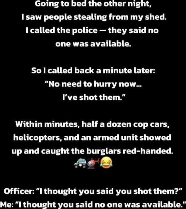 Going to bed the other night, I saw people stealing from my shed. I called the police — they said no one was available. So I called back a minute later: 