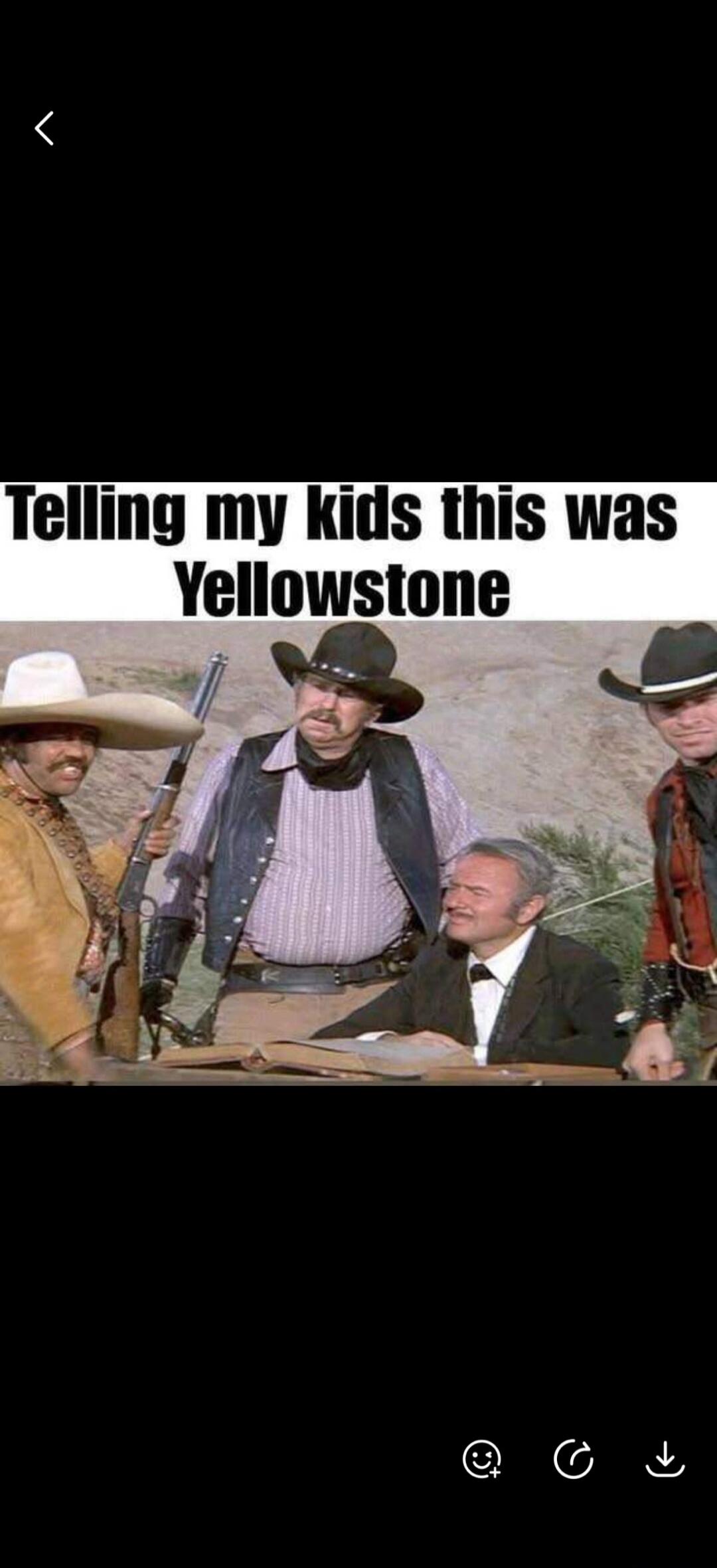 Telling my kids this was Yellowstone