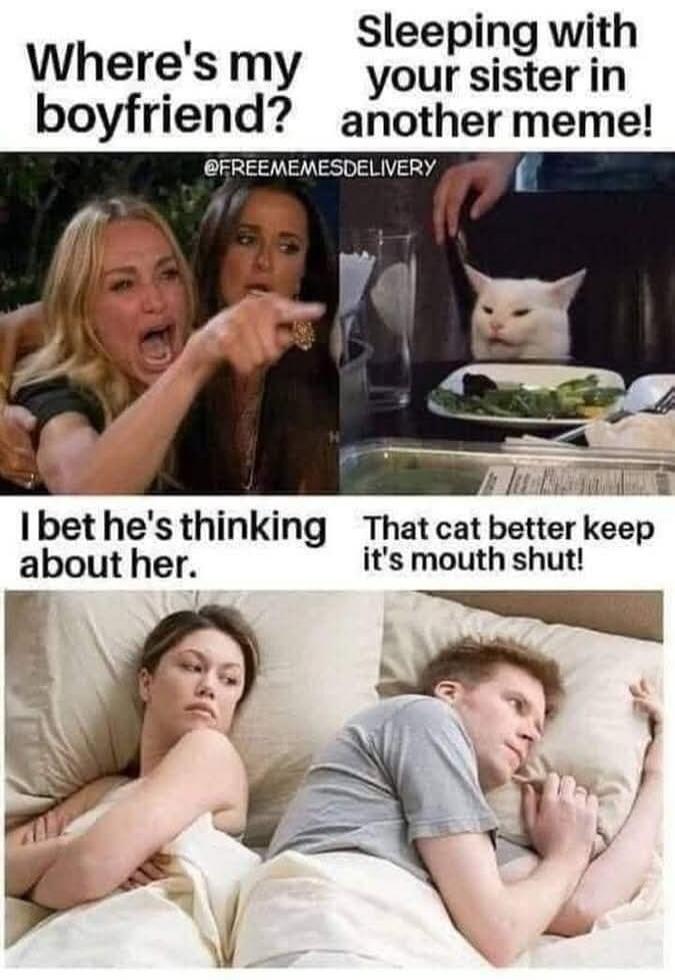 Where's my boyfriend? Sleeping with your sister in another meme! @FREEMEMESDELIVERY I bet he's thinking about her. That cat better keep it's mouth shut!