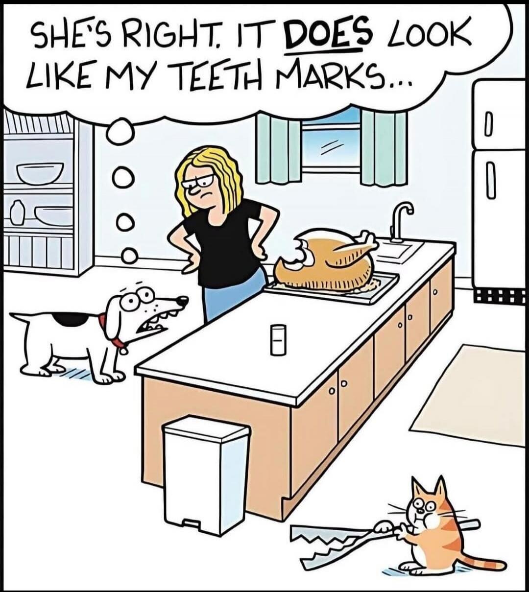 SHE'S RIGHT. IT DOES LOOK LIKE MY TEETH MARKS...