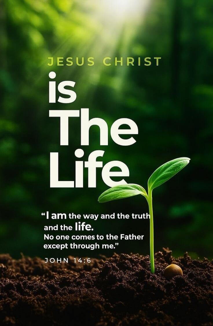 JESUS CHRIST is The Life 