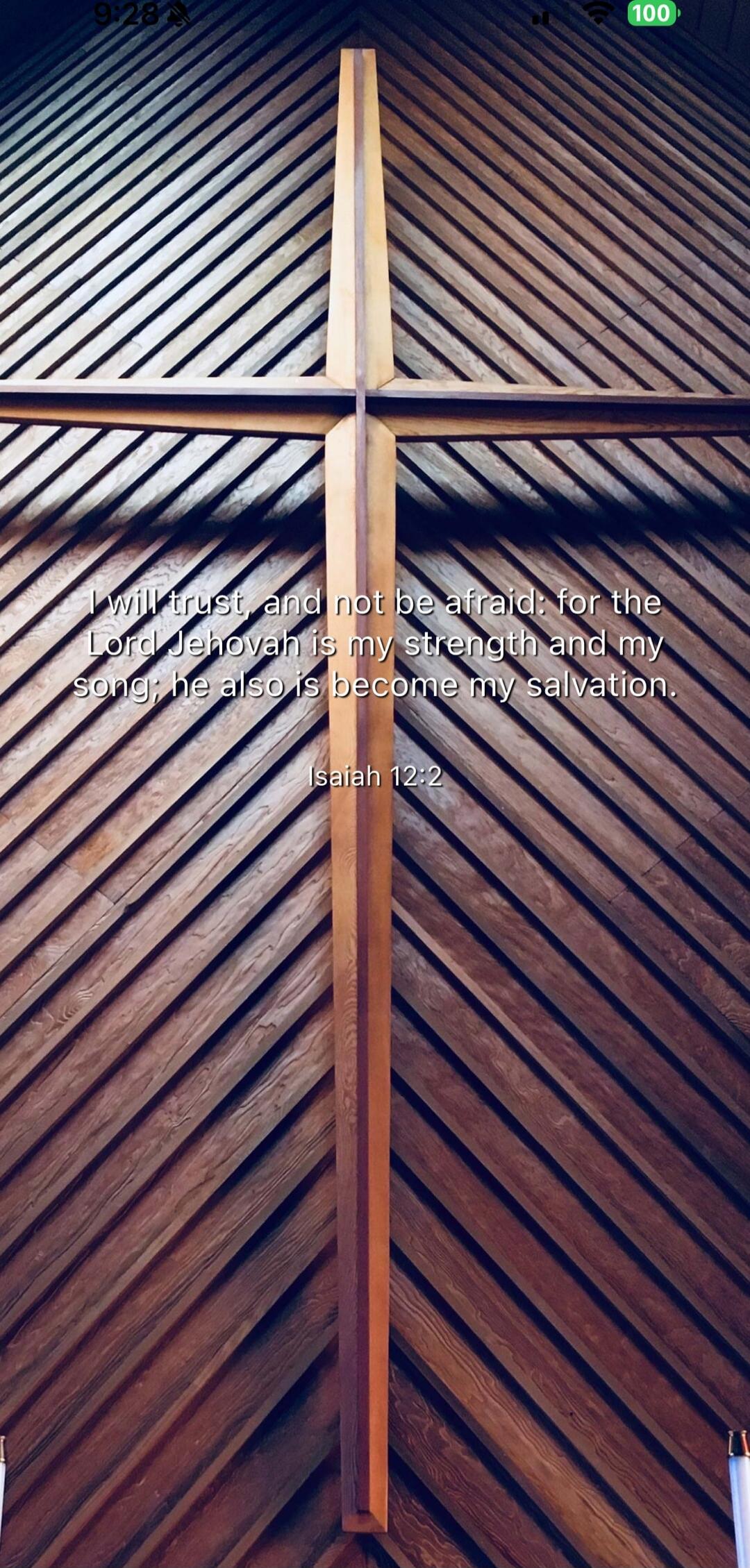 I will trust, and not be afraid; for the Lord Jehovah is my strength and my song; he also is become my salvation.
Isaiah 12:2