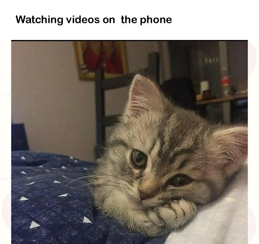 Watching videos on the phone