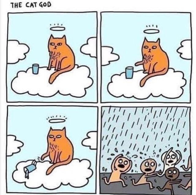 THE CAT GoD