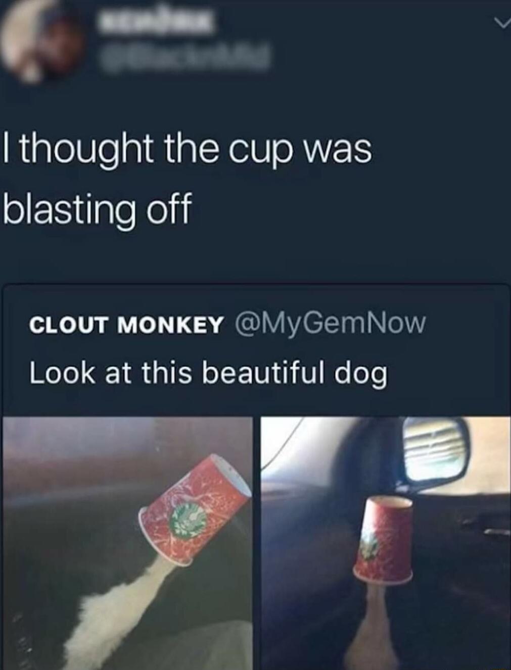 V thought the cup was blasting off CLOUT MONKEY MyGemNow Look at this beautiful dog