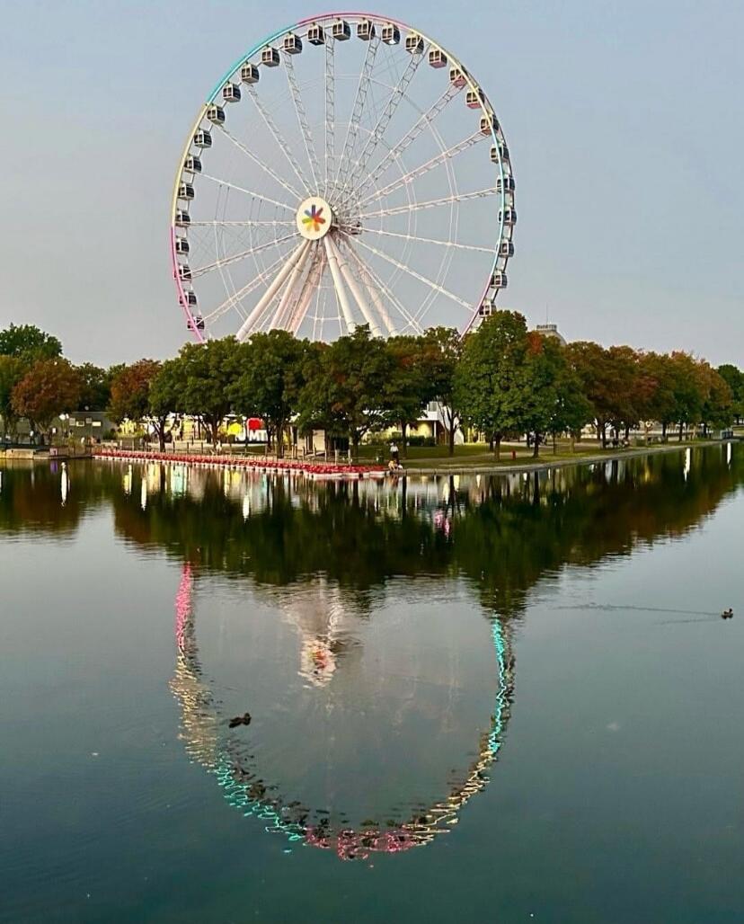 The Ferris wheel is illuminated with colorful lights, reflecting in the water below. Ducks swim in the calm water.