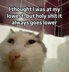 I thought I was at my lowest, but holy shit it always goes lower