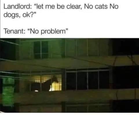 Landlord let me be clear No cats No dogs ok Tenant No problem