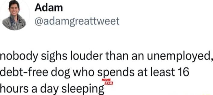 Adam adamgreattweet nobody sighs louder than an unemployed debt free dog who sends atleast 16 hours a day sleeping