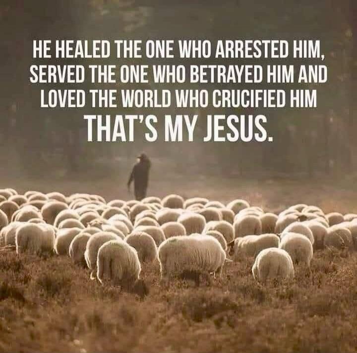 HE HEALED THE ONE WHO ARRESTED HIM, SERVED THE ONE WHO BETRAYED HIM AND LOVED THE WORLD WHO CRUCIFIED HIM THAT’S MY JESUS.