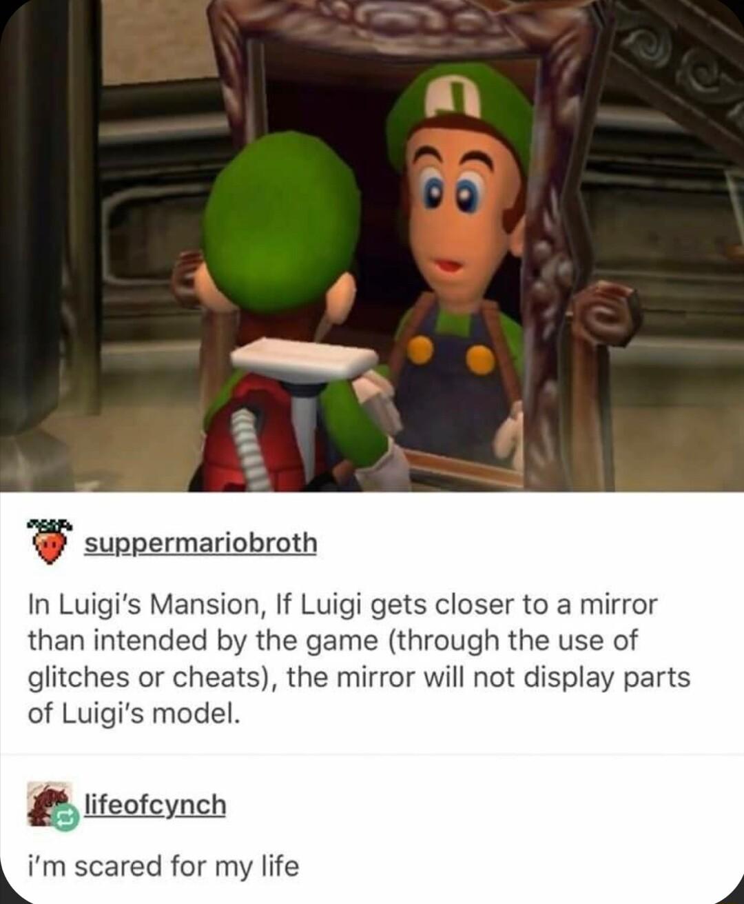 an suppermariobroth In Luigis Mansion If Luigi gets closer to a mirror than intended by the game through the use of glitches or cheats the mirror will not display parts of Luigis model lifecfcynch m scared for my life