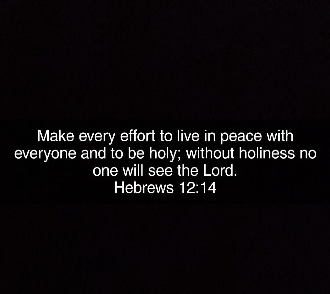 Make every effort to live in peace with everyone and to be holy; without holiness no one will see the Lord. Hebrews 12:14