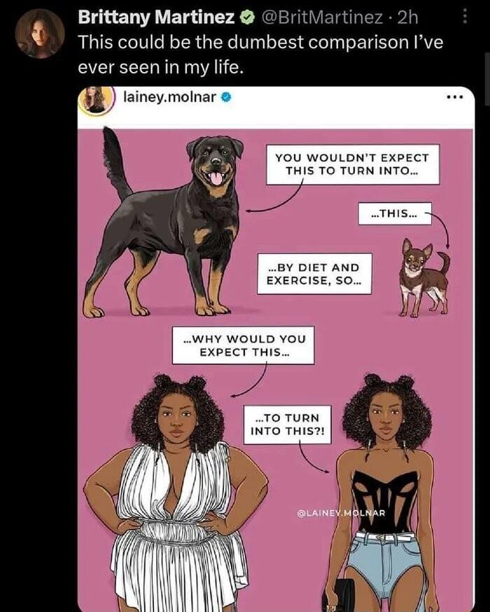 Brittany Martinez BritMartinez 2h This could be the dumbest comparison Ive ever seen in my life laineymolnar