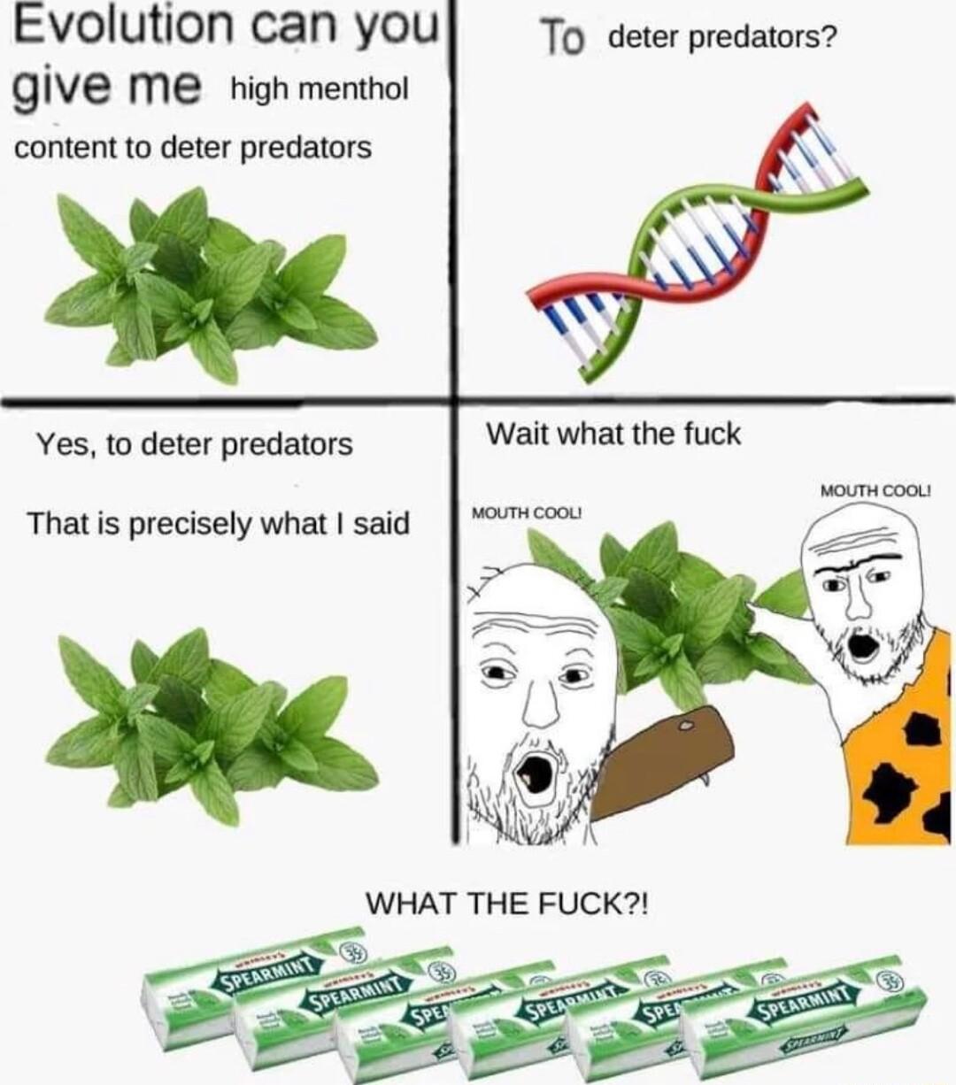 Evolution can you give me high menthol content to deter predators To deter predators Yes to deter predators That is precisely what said