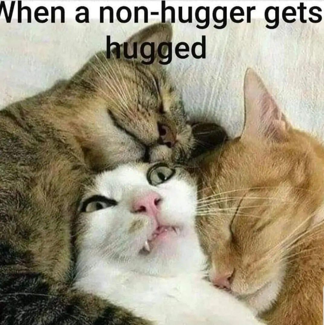 Vhen a non hugger gets