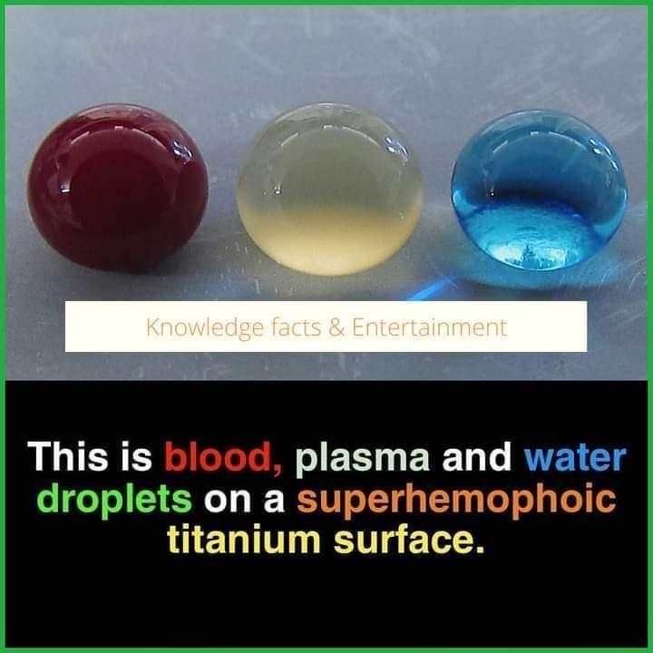 ALIERE EEHERET T RTEIET droplets on a superhemophoic titanium surface