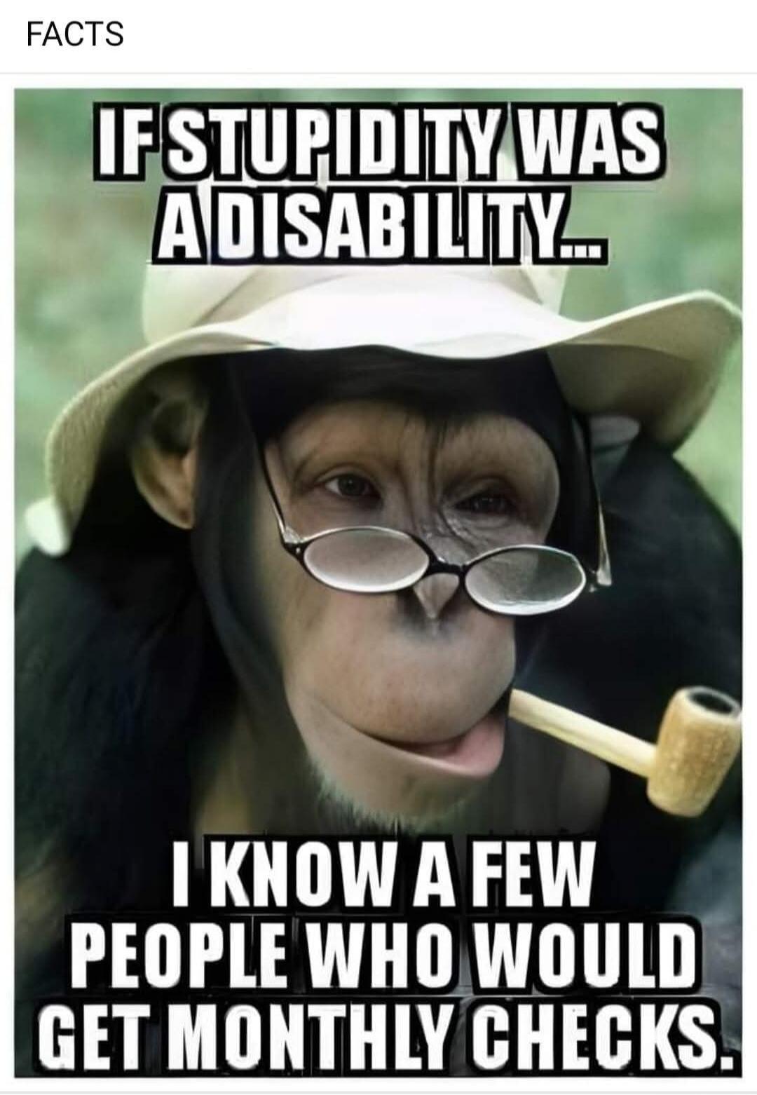 FACTS IF STUPIDITY WAS A DISABILITY... I KNOW A FEW PEOPLE WHO WOULD GET MONTHLY CHECKS.