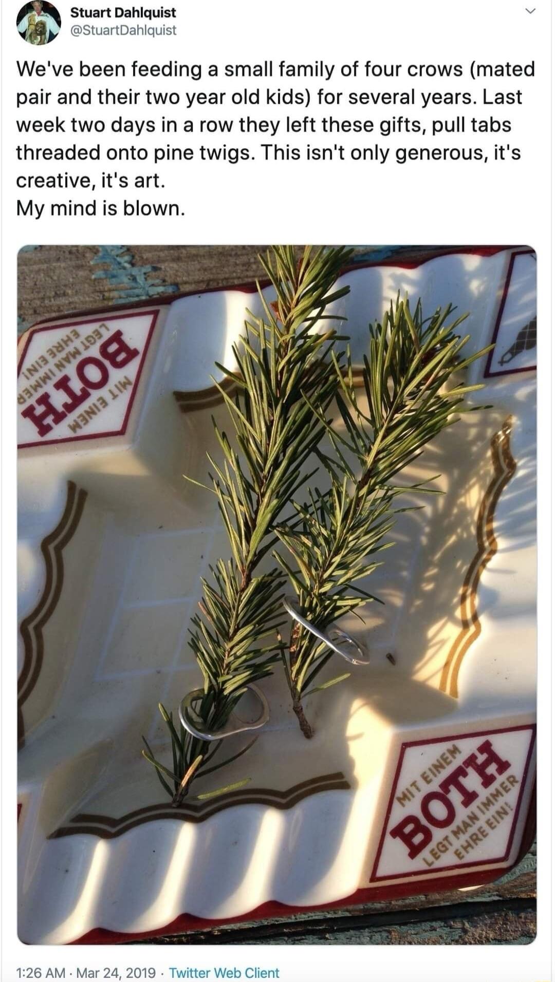 Stuart Dahlquist riguist Weve been feeding a small family of four crows mated pair and their two year old kids for several years Last week two days in a row they left these gifts pull tabs threaded onto pine twigs This isnt only generous its creative its art My mind is blown 242019 T