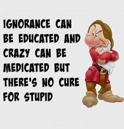 IGNORANCE CAN BE EDUCATED AND CRAZY CAN BE MEDICATED BUT THERE'S NO CURE FOR STUPID