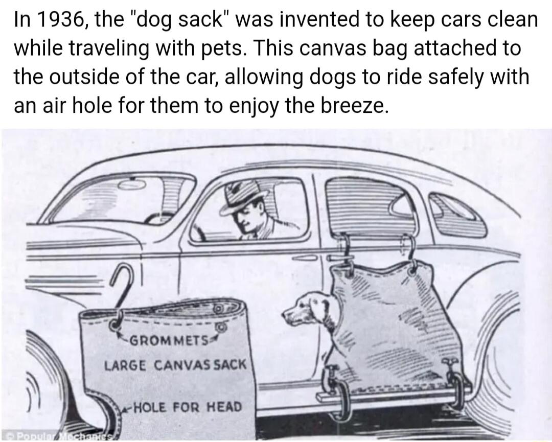 In 1936 the dog sack was invented to keep cars clean while traveling with pets This canvas bag attached to the outside of the car allowing dogs to ride safely with an air hole for them to enjoy the breeze