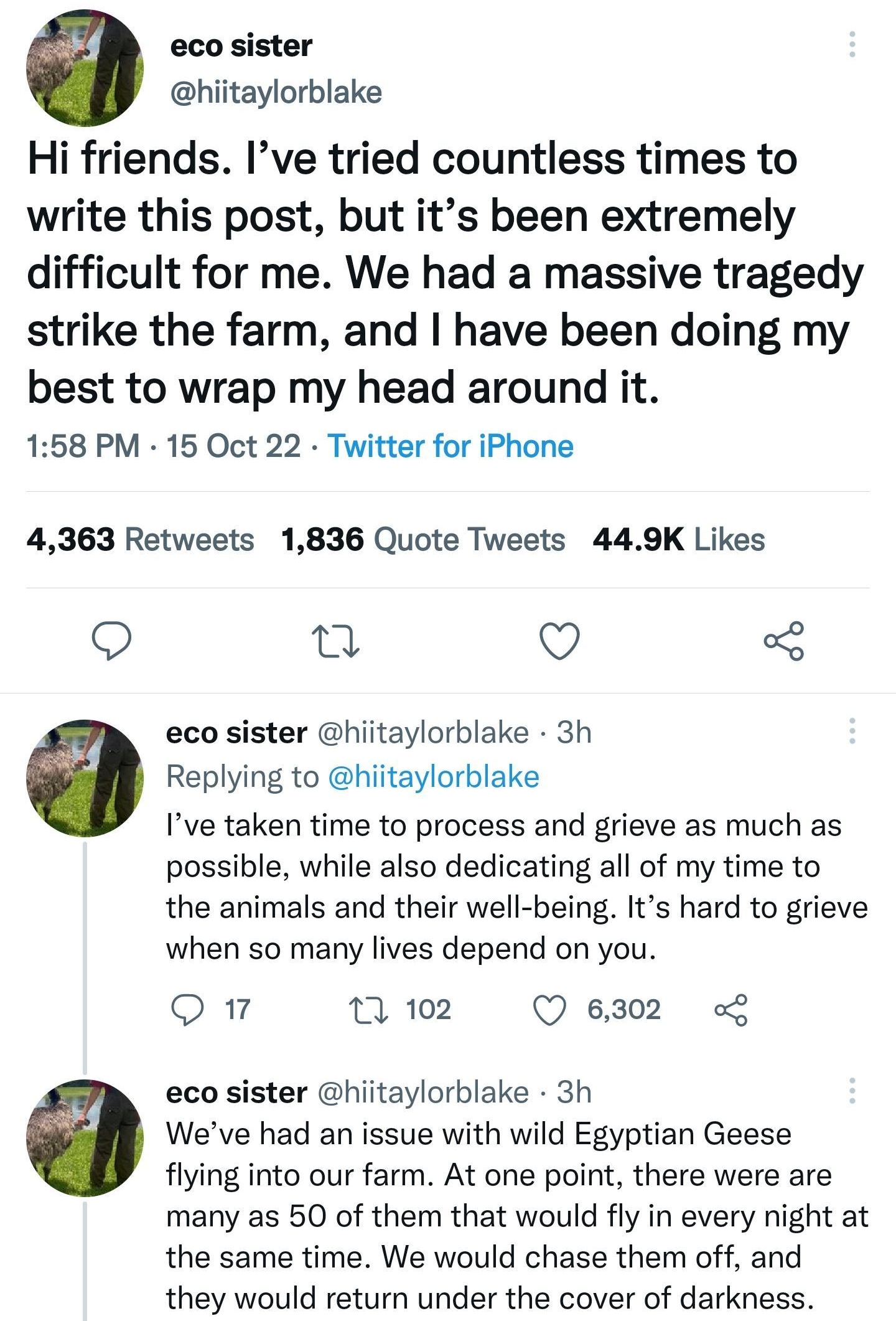 532 X O Al 92m Thread hiitaylorblake Hi friends Ive tried countless times to write this post but its been extremely difficult for me We had a massive tragedy strike the farm and have been doing my best to wrap my head around it 158 PM 15 Oct 22 Twitter for iPhone 4363 Retweets 1836 Quote Tweets 449K Likes 9 n Q eco sister hitaylorblake 3h Replying to hiitaylorblake Ive taken time to process and gr