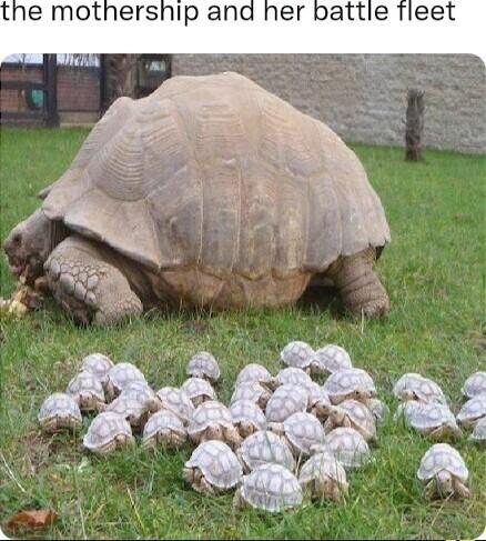 er battle fleet othersnip and Ty