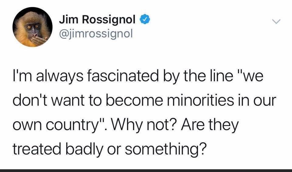 Jim Rossignol jimrossignol Im always fascinated by the line we dont want to become minorities in our own country Why not Are they treated badly or something