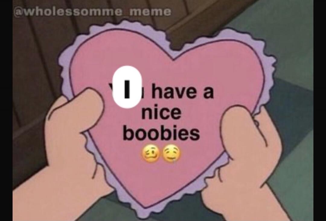I have a nice boobies @wholessomme meme