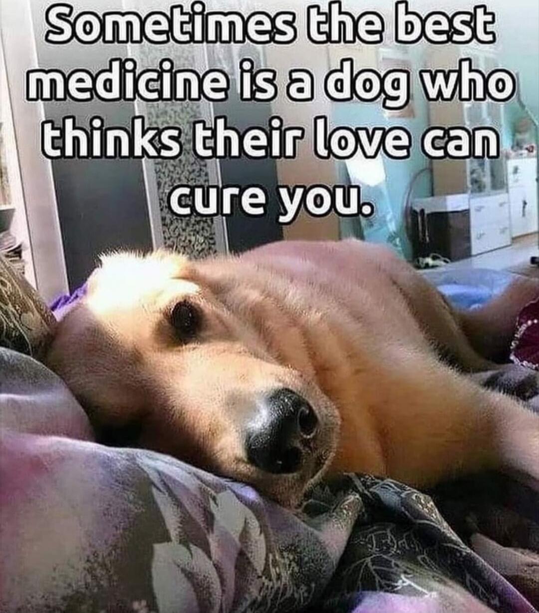 Sometimes the best medicine is a dog who thinks their love can cure you.