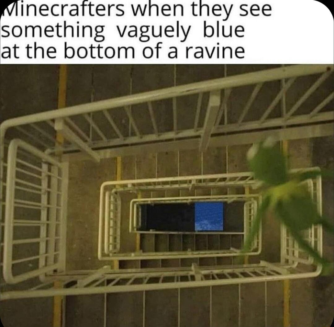 viinecrafters when they see something vaguely blue at the bottom of a ravine