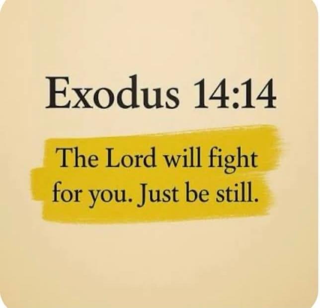 Exodus 14:14 The Lord will fight for you. Just be still.