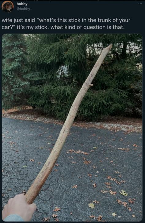 R wife just said whats this stick in the trunk of your car its my stick what kind of question is that