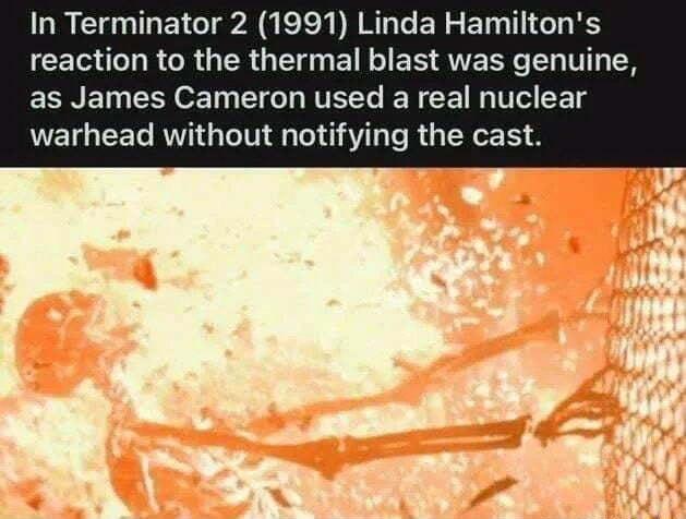 In Terminator 2 1991 Linda Hamiltons reaction to the thermal blast was genuine EENET 1 O eI NS Ye E N CET R Ve CET g warhead without notifying the cast