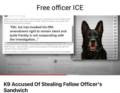 Free officer ICE Ofec Ice has invoked his fifth amendment right to remain silent and quite frankly is not cooperating with the investigation 83333333333 K9 Accused Of Stealing Fellow Officers Sandwich